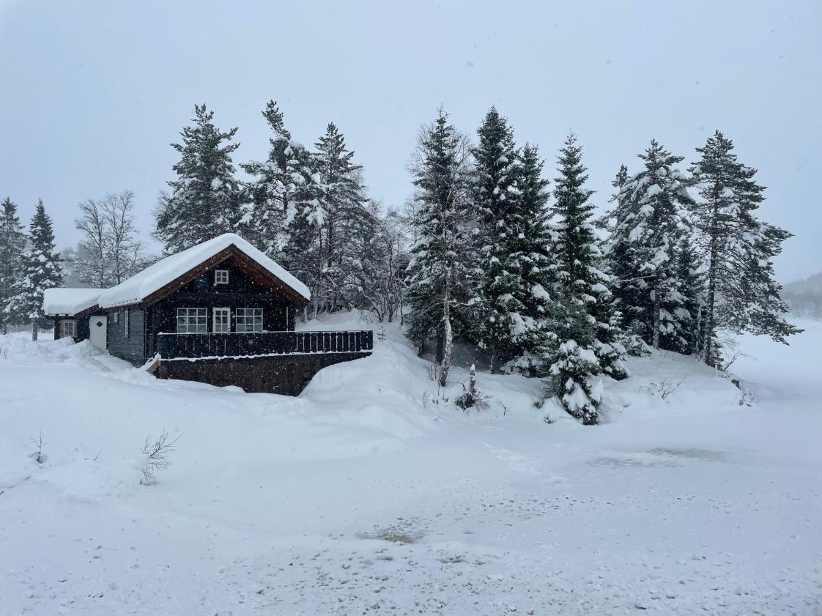 Holiday Cottage With Sauna Close To Kjeragbolten Tjorhom 外观 照片